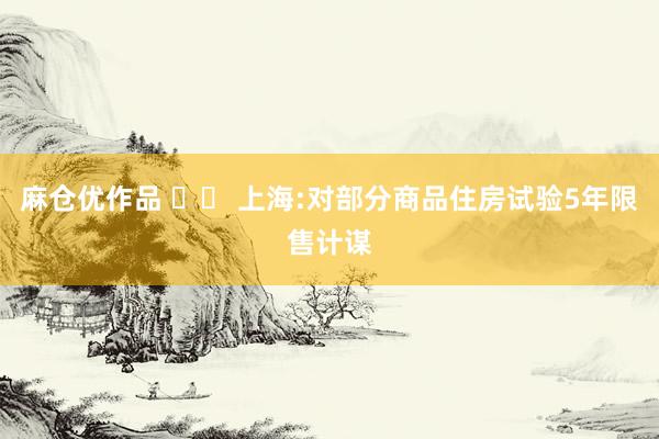 麻仓优作品 		 上海:对部分商品住房试验5年限售计谋
