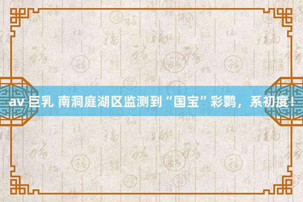 av 巨乳 南洞庭湖区监测到“国宝”彩鹮，系初度！