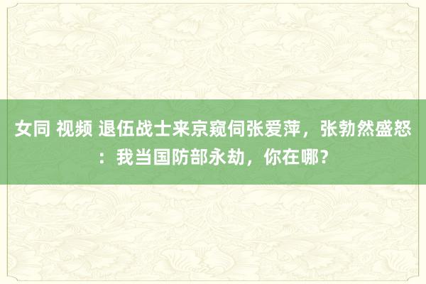 女同 视频 退伍战士来京窥伺张爱萍，张勃然盛怒：我当国防部永劫，你在哪？