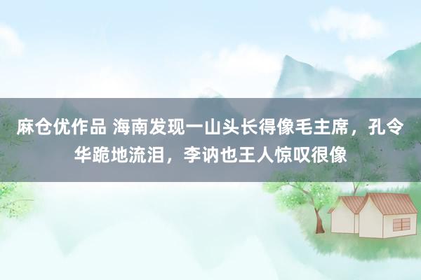 麻仓优作品 海南发现一山头长得像毛主席，孔令华跪地流泪，李讷也王人惊叹很像