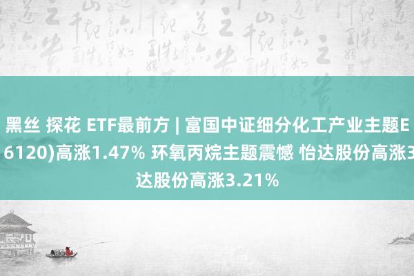 黑丝 探花 ETF最前方 | 富国中证细分化工产业主题ETF(516120)高涨1.47% 环氧丙烷主题震憾 怡达股份高涨3.21%