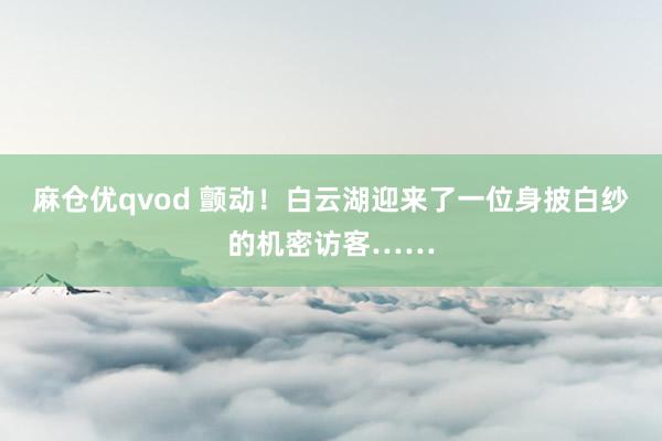 麻仓优qvod 颤动！白云湖迎来了一位身披白纱的机密访客……