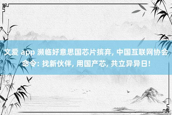 文爱 app 濒临好意思国芯片摈弃， 中国互联网协会命令: 找新伙伴， 用国产芯， 共立异异日!