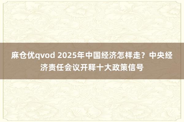 麻仓优qvod 2025年中国经济怎样走？中央经济责任会议开释十大政策信号