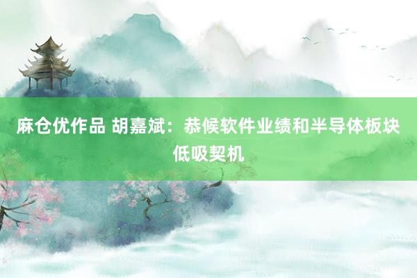 麻仓优作品 胡嘉斌:恭候软件业绩和半导体板块低吸契机