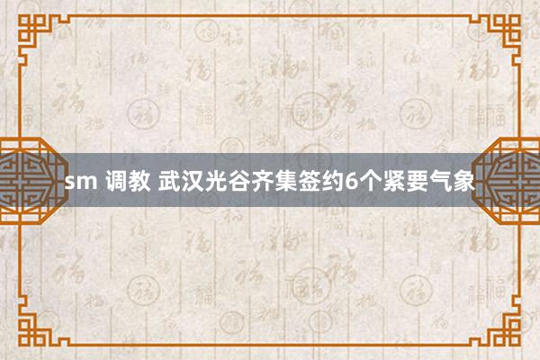 sm 调教 武汉光谷齐集签约6个紧要气象