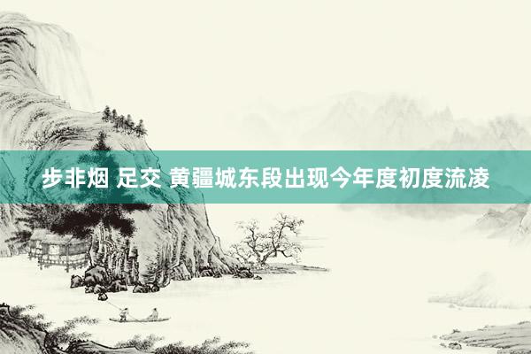 步非烟 足交 黄疆城东段出现今年度初度流凌