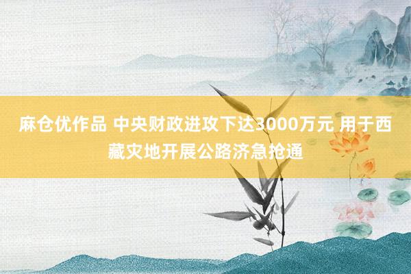 麻仓优作品 中央财政进攻下达3000万元 用于西藏灾地开展公路济急抢通