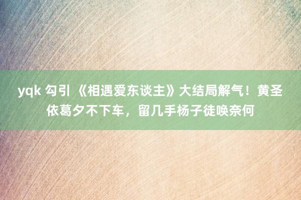 yqk 勾引 《相遇爱东谈主》大结局解气！黄圣依葛夕不下车，留几手杨子徒唤奈何