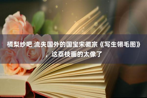 橘梨纱吧 流失国外的国宝宋徽宗《写生翎毛图》，这荔枝画的太像了