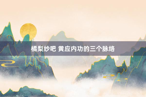 橘梨纱吧 黄应内功的三个脉络