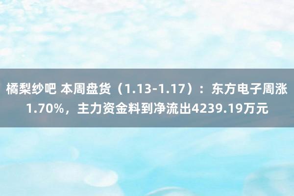橘梨纱吧 本周盘货（1.13-1.17）：东方电子周涨1.70%，主力资金料到净流出4239.19万元