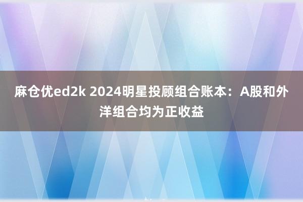 麻仓优ed2k 2024明星投顾组合账本：A股和外洋组合均为正收益