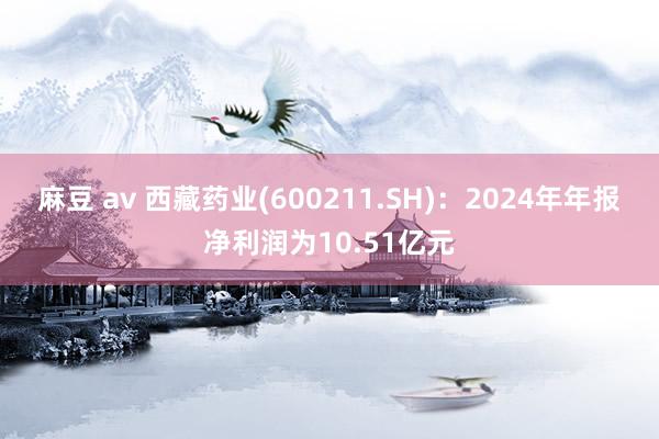 麻豆 av 西藏药业(600211.SH)：2024年年报净利润为10.51亿元