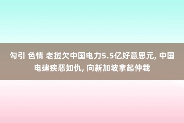勾引 色情 老挝欠中国电力5.5亿好意思元， 中国电建疾恶如仇， 向新加坡拿起仲裁