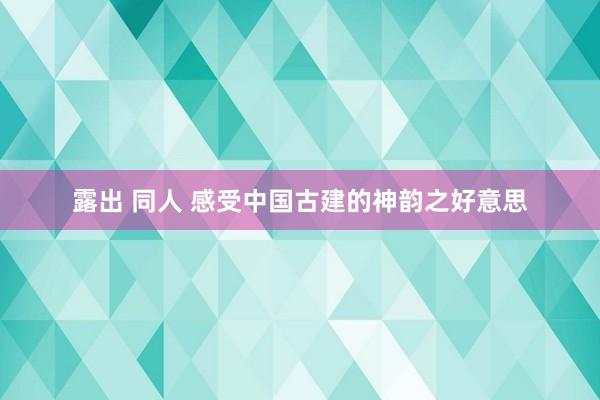 露出 同人 感受中国古建的神韵之好意思