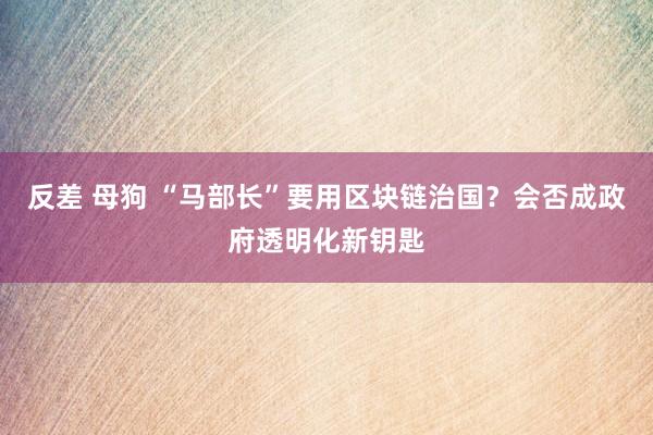 反差 母狗 “马部长”要用区块链治国？会否成政府透明化新钥匙