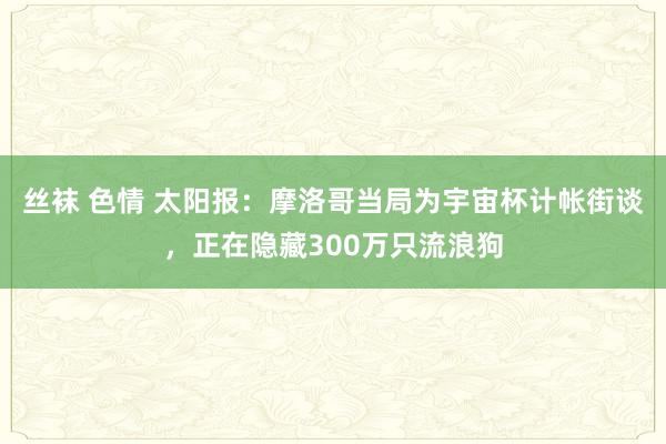 丝袜 色情 太阳报：摩洛哥当局为宇宙杯计帐街谈，正在隐藏300万只流浪狗