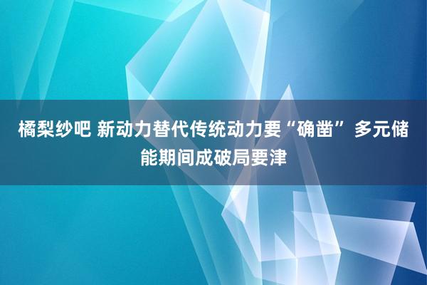 橘梨纱吧 新动力替代传统动力要“确凿” 多元储能期间成破局要津