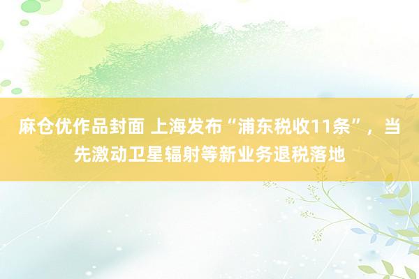 麻仓优作品封面 上海发布“浦东税收11条”，当先激动卫星辐射等新业务退税落地