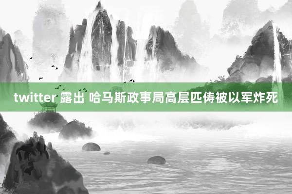 twitter 露出 哈马斯政事局高层匹俦被以军炸死