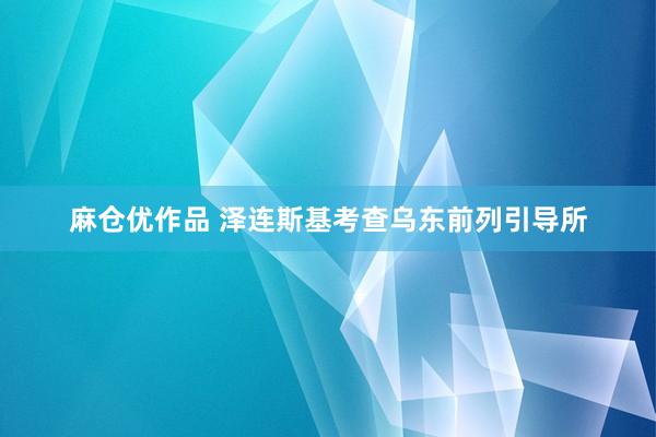麻仓优作品 泽连斯基考查乌东前列引导所