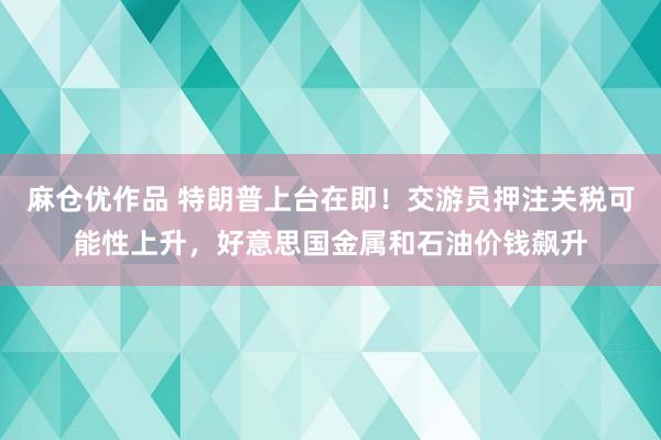 麻仓优作品 特朗普上台在即！交游员押注关税可能性上升，好意思国金属和石油价钱飙升