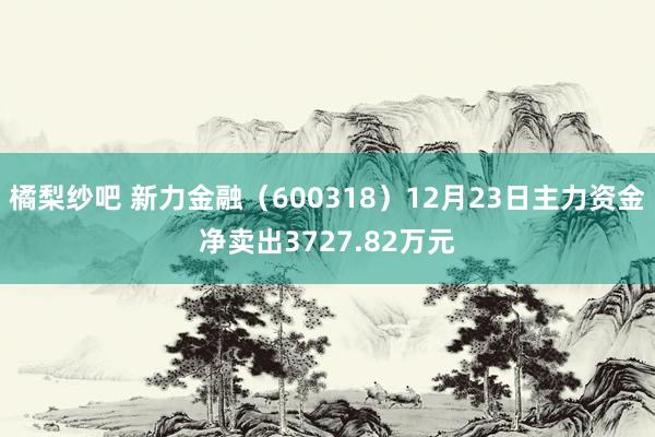 橘梨纱吧 新力金融（600318）12月23日主力资金净卖出3727.82万元