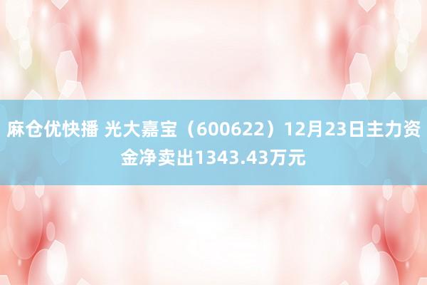 麻仓优快播 光大嘉宝（600622）12月23日主力资金净卖出1343.43万元