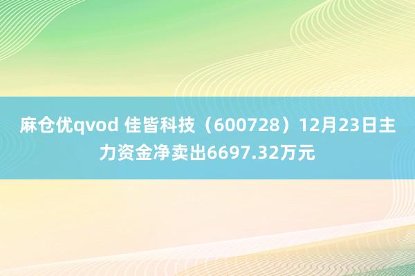 麻仓优qvod 佳皆科技（600728）12月23日主力资金净卖出6697.32万元