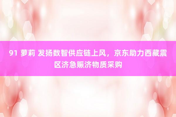 91 萝莉 发扬数智供应链上风，京东助力西藏震区济急赈济物质采购