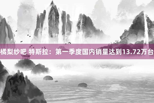 橘梨纱吧 特斯拉：第一季度国内销量达到13.72万台