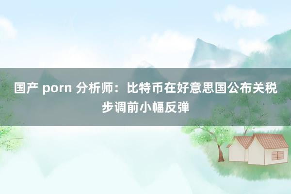 国产 porn 分析师：比特币在好意思国公布关税步调前小幅反弹