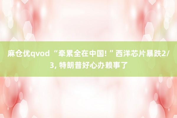 麻仓优qvod “牵累全在中国! ”西洋芯片暴跌2/3， 特朗普好心办赖事了