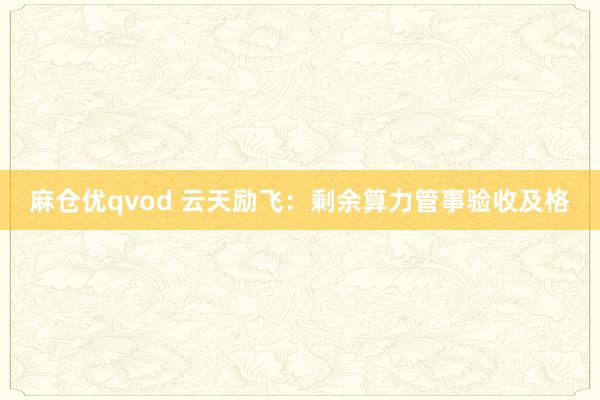 麻仓优qvod 云天励飞：剩余算力管事验收及格