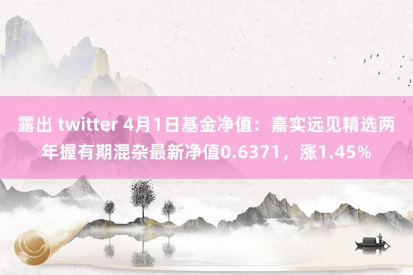 露出 twitter 4月1日基金净值：嘉实远见精选两年握有期混杂最新净值0.6371，涨1.45%
