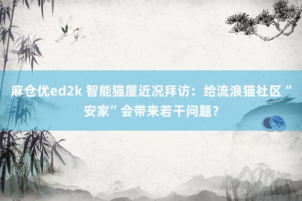 麻仓优ed2k 智能猫屋近况拜访：给流浪猫社区“安家”会带来若干问题？