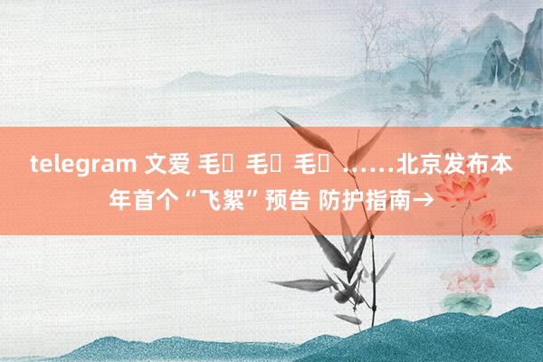 telegram 文爱 毛҉毛҉毛҉……北京发布本年首个“飞絮”预告 防护指南→