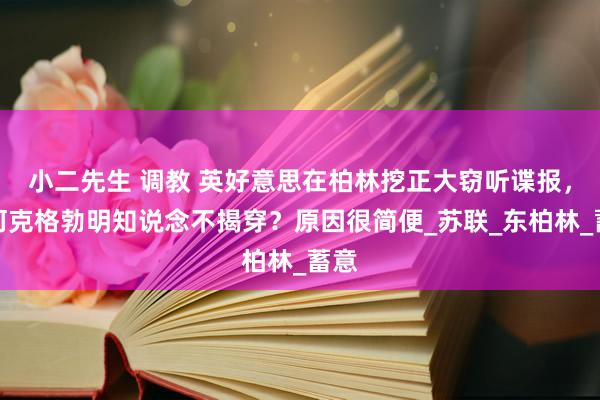 小二先生 调教 英好意思在柏林挖正大窃听谍报，为何克格勃明知说念不揭穿？原因很简便_苏联_东柏林_蓄意