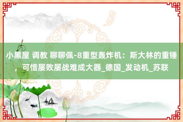 小黑屋 调教 聊聊佩-8重型轰炸机：斯大林的重锤，可惜屡败屡战难成大器_德国_发动机_苏联