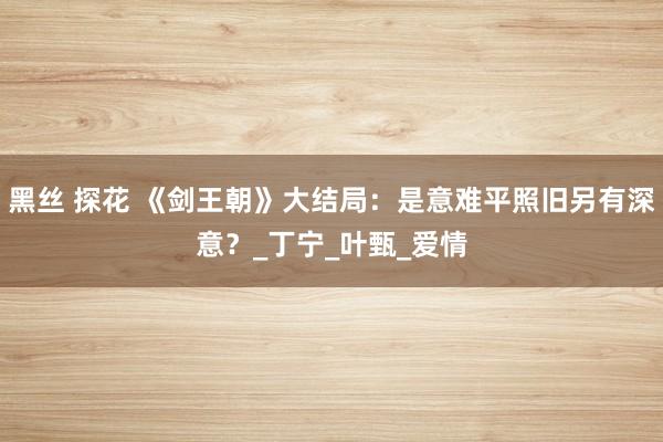 黑丝 探花 《剑王朝》大结局：是意难平照旧另有深意？_丁宁_叶甄_爱情