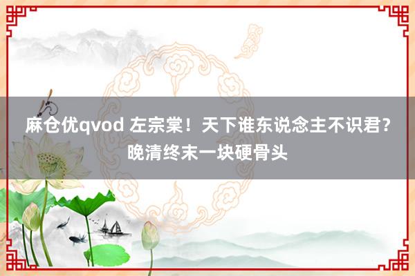 麻仓优qvod 左宗棠！天下谁东说念主不识君？晚清终末一块硬骨头