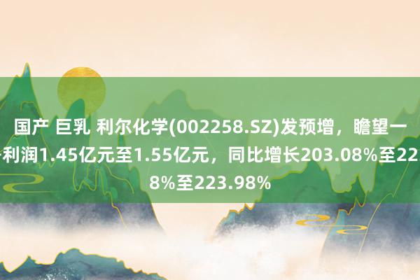 国产 巨乳 利尔化学(002258.SZ)发预增，瞻望一季度净利润1.45亿元至1.55亿元，同比增长203.08%至223.98%