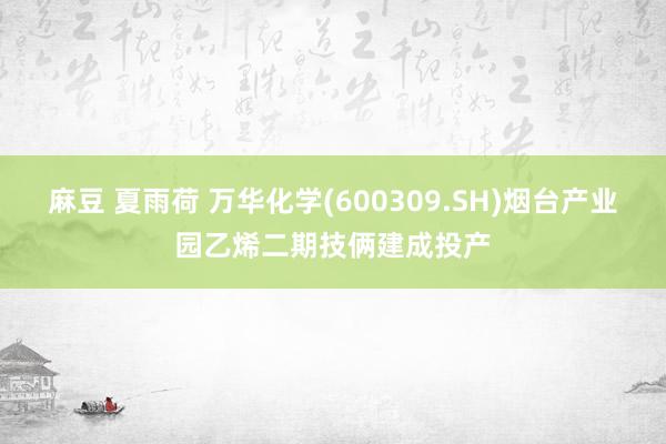 麻豆 夏雨荷 万华化学(600309.SH)烟台产业园乙烯二期技俩建成投产