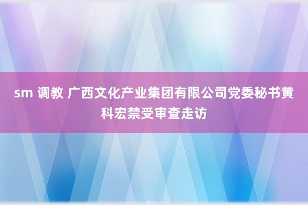 sm 调教 广西文化产业集团有限公司党委秘书黄科宏禁受审查走访