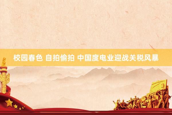 校园春色 自拍偷拍 中国度电业迎战关税风暴