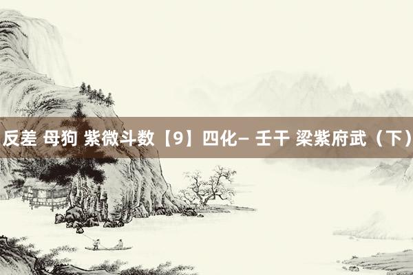 反差 母狗 紫微斗数【9】四化— 壬干 梁紫府武（下）