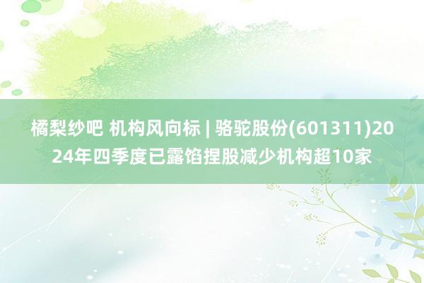 橘梨纱吧 机构风向标 | 骆驼股份(601311)2024年四季度已露馅捏股减少机构超10家