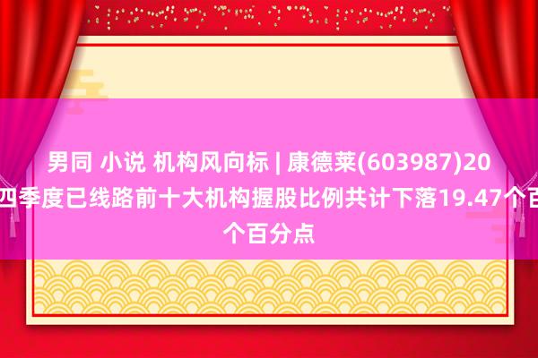 男同 小说 机构风向标 | 康德莱(603987)2024年四季度已线路前十大机构握股比例共计下落19.47个百分点