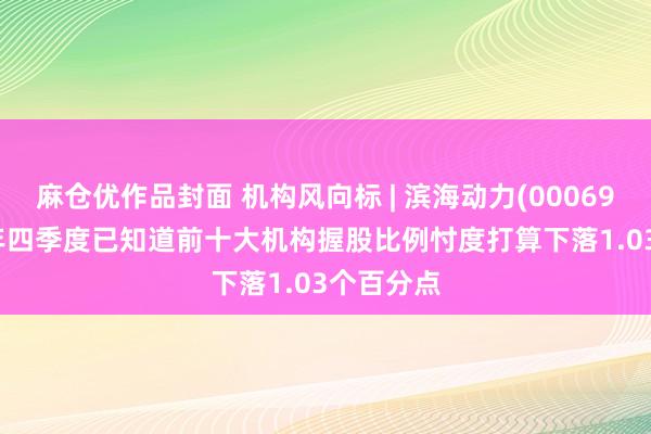 麻仓优作品封面 机构风向标 | 滨海动力(000695)2024年四季度已知道前十大机构握股比例忖度打算下落1.03个百分点
